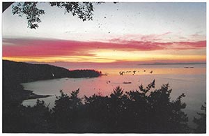 Green Village Garage | Our Thank You Notes - image #7